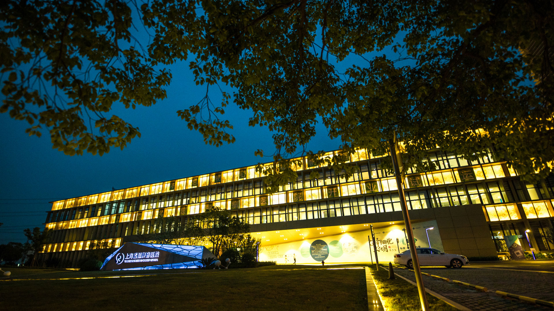 上海大学附属孟超肿瘤医院项目banner图片