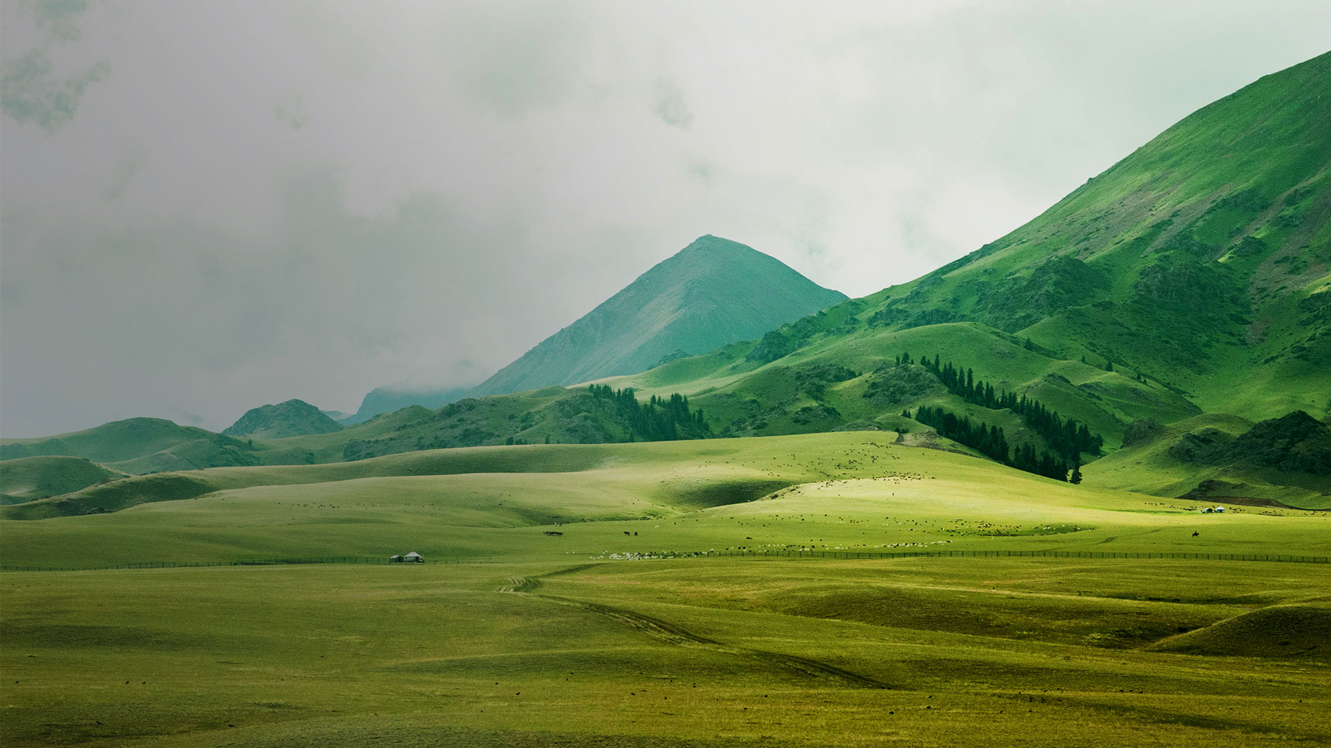 西恩科技项目banner图片