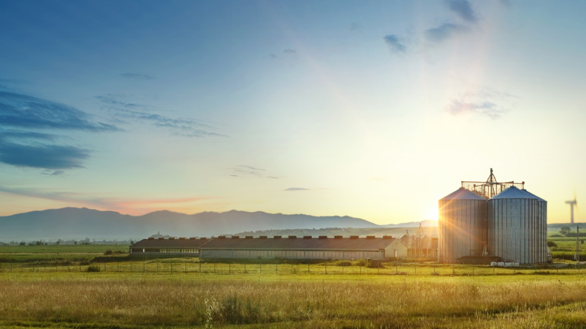 科诺牧业项目banner图片