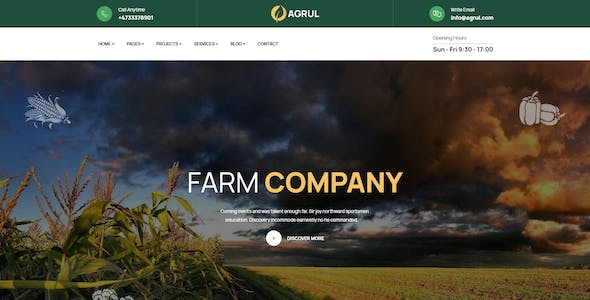 网站开发中的可访问性：让每个人都能使用你的网站